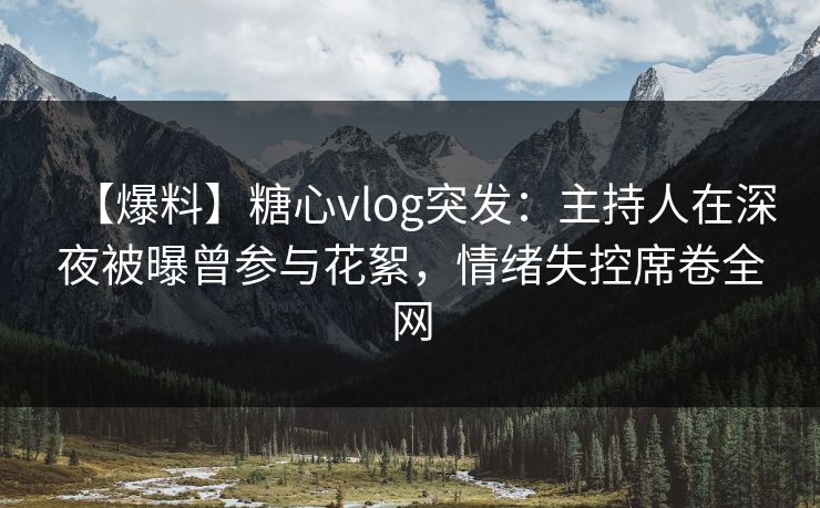 【爆料】糖心vlog突发：主持人在深夜被曝曾参与花絮，情绪失控席卷全网