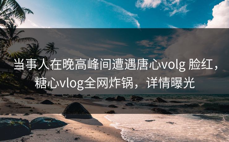 当事人在晚高峰间遭遇唐心volg 脸红，糖心vlog全网炸锅，详情曝光